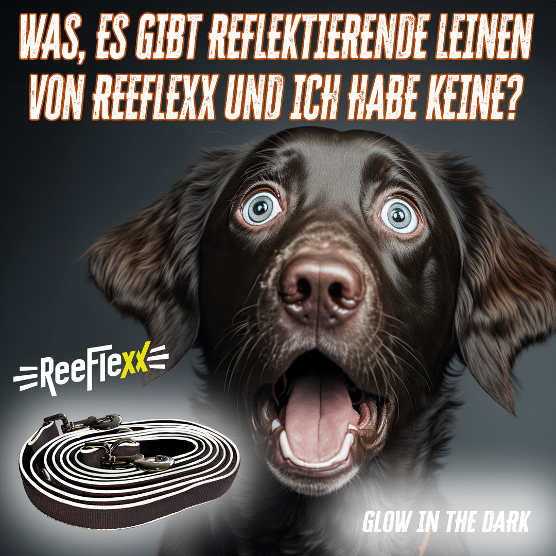 Hundeleine - Dog Leash - Black