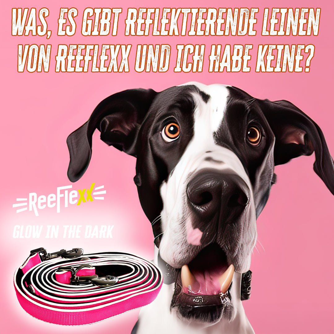 Hundeleine - Dog Leash - Neon Pink