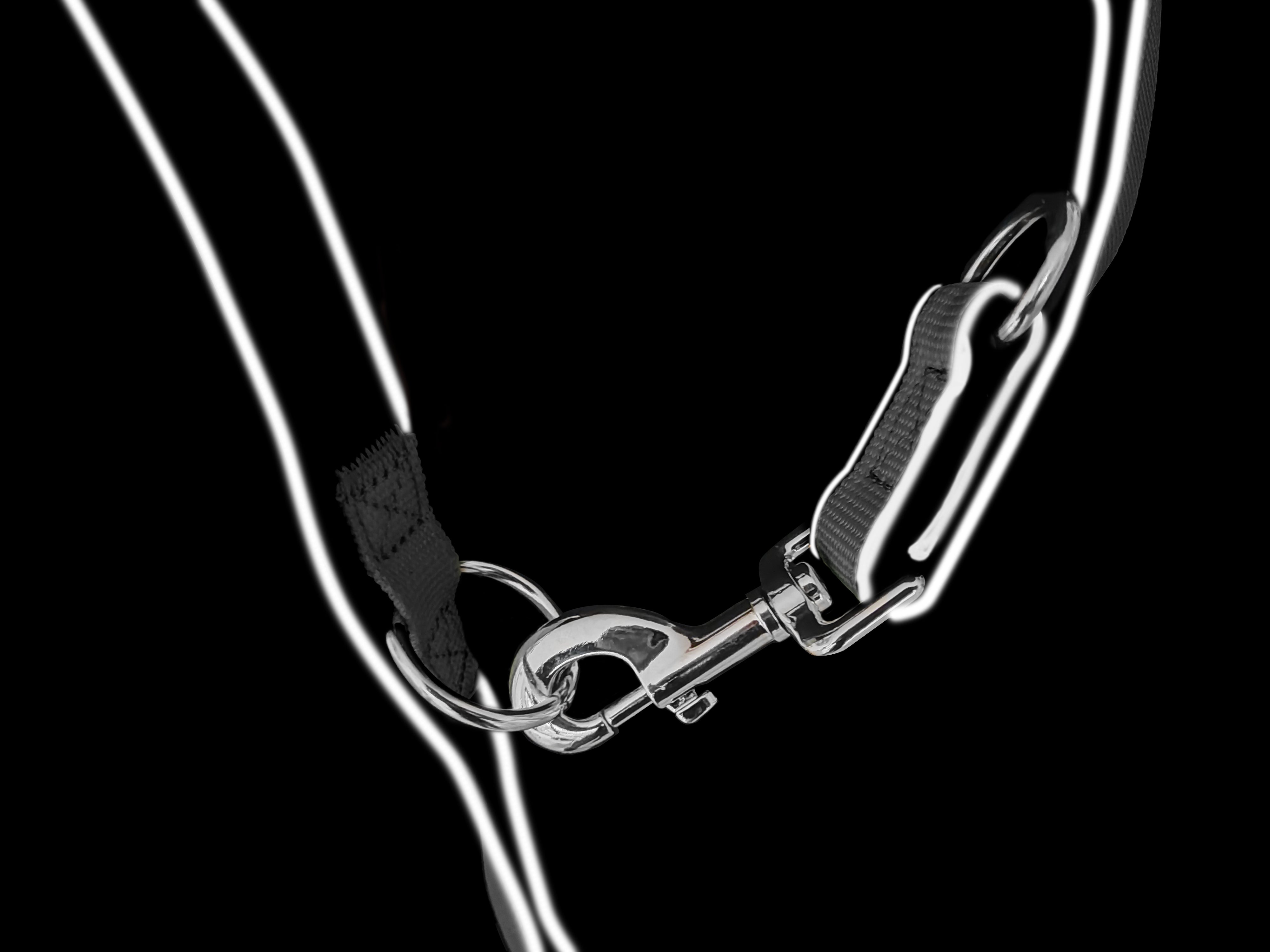 Hundeleine - Dog Leash - Black