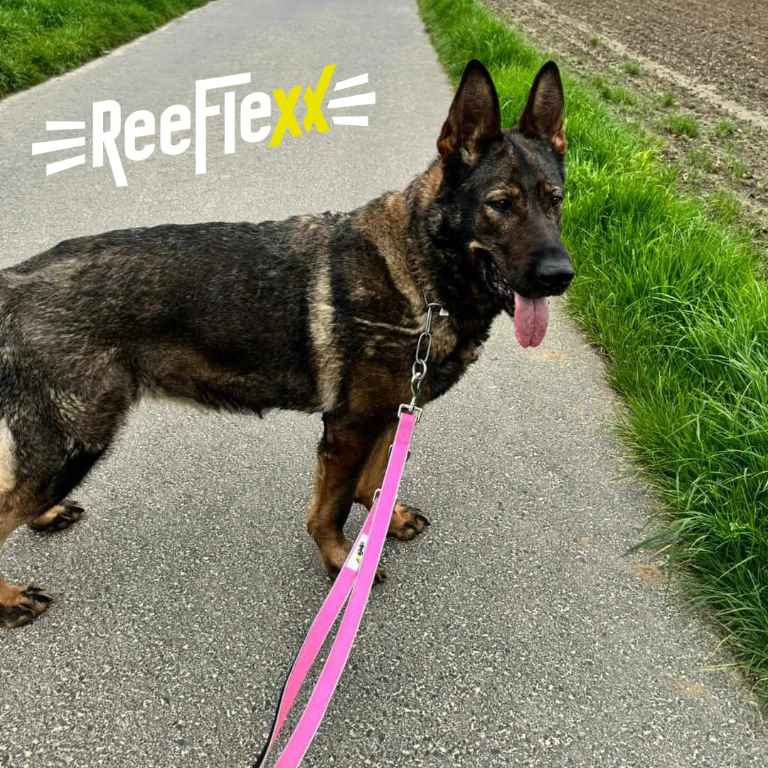 Hundeleine - Dog Leash - Neon Pink