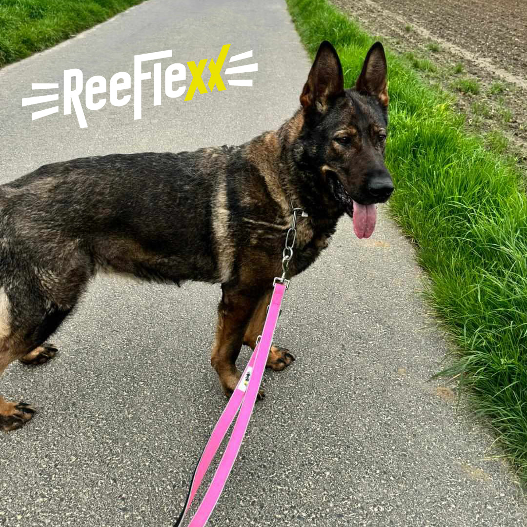 3 Meter Hundeleine - Dog Leash - Neon Pink