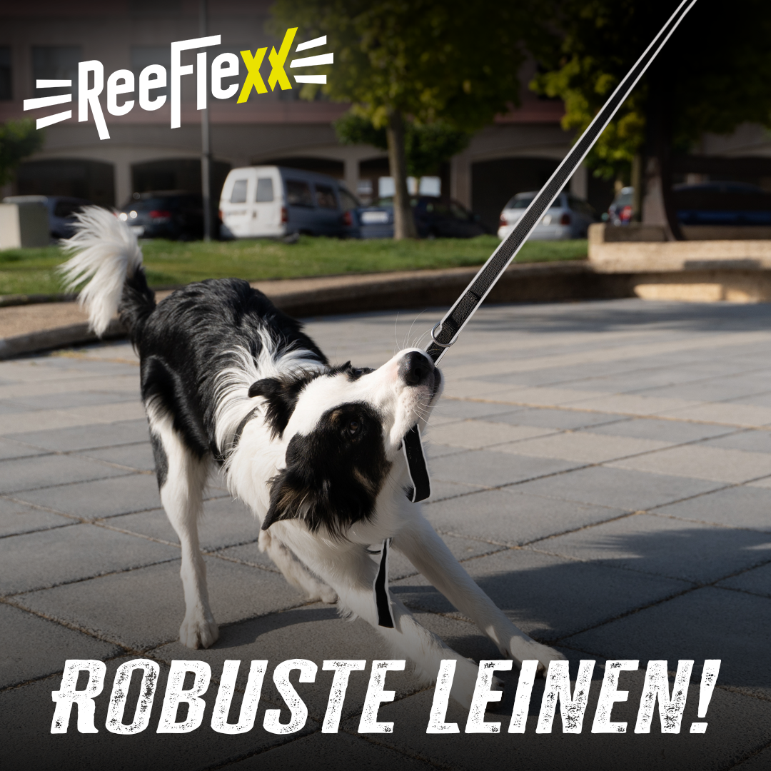 3 Meter Hundeleine - Dog Leash - Neon Yellow